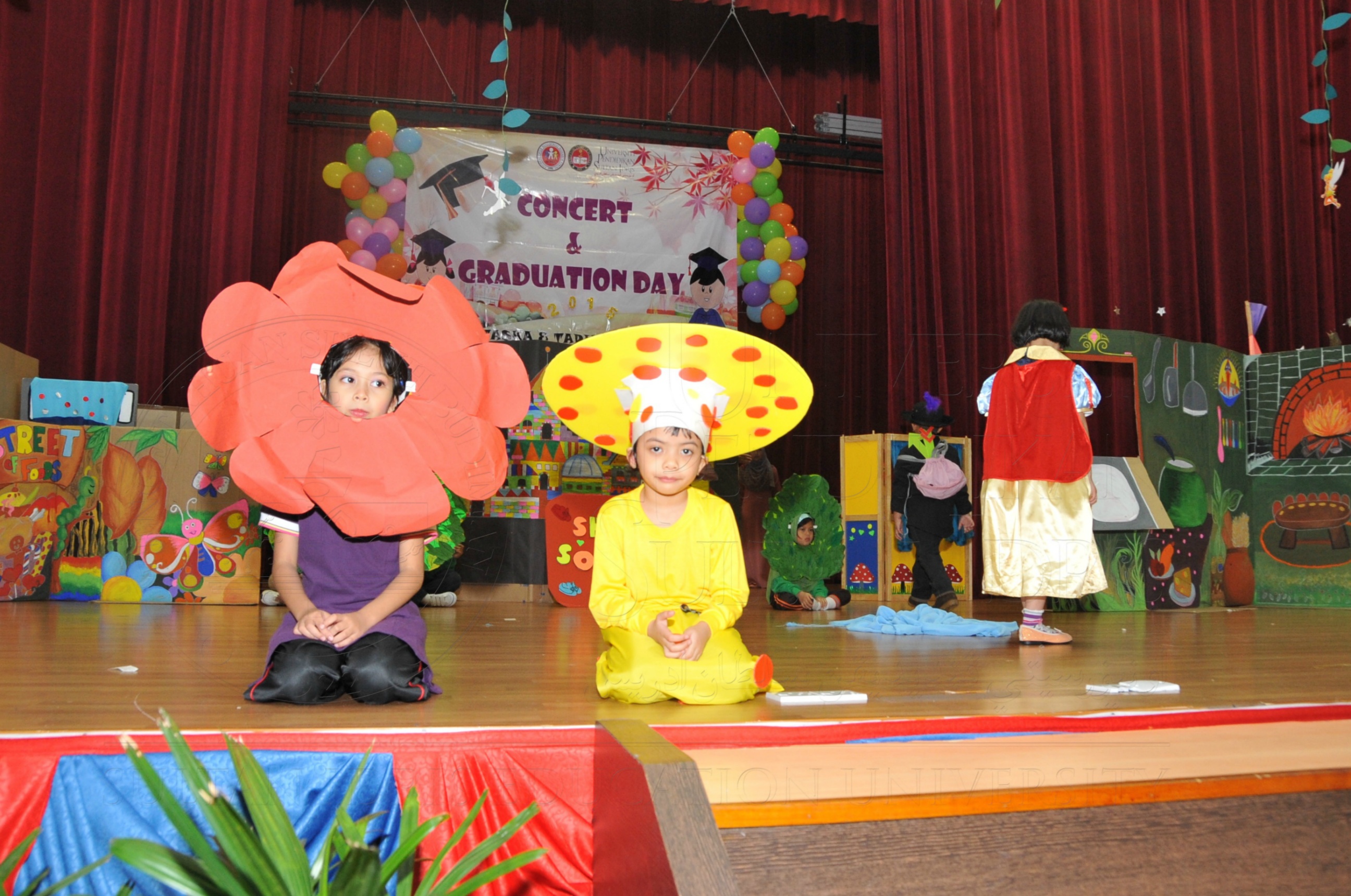 PRO15 163 KONVO HAS 0800